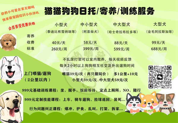 喵呜宠物店