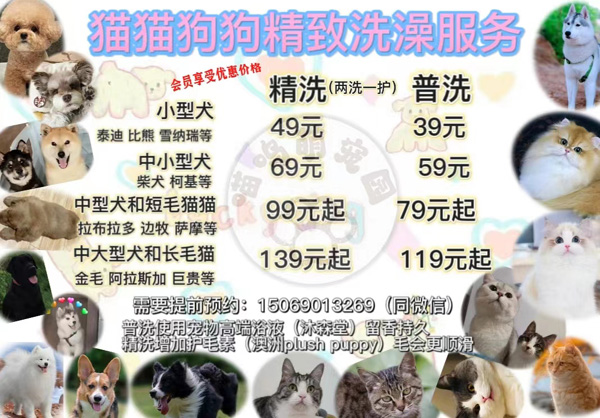 喵呜宠物店