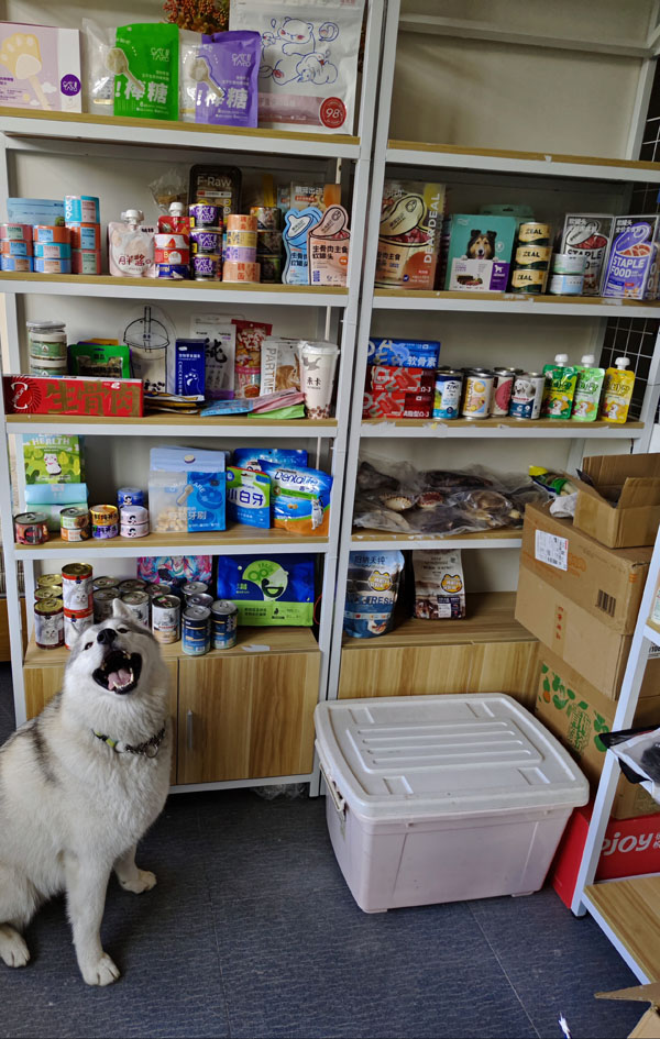 喵呜宠物店